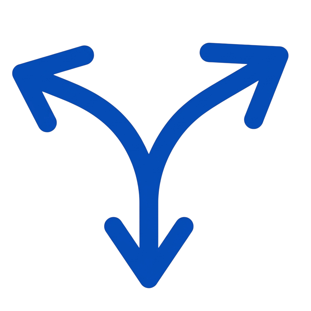 multi direction icon